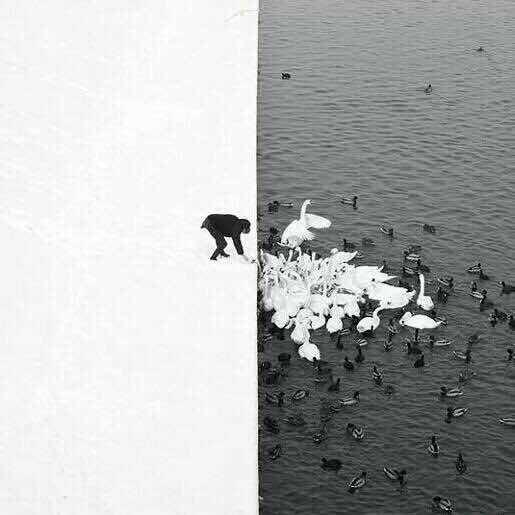 Inkblot