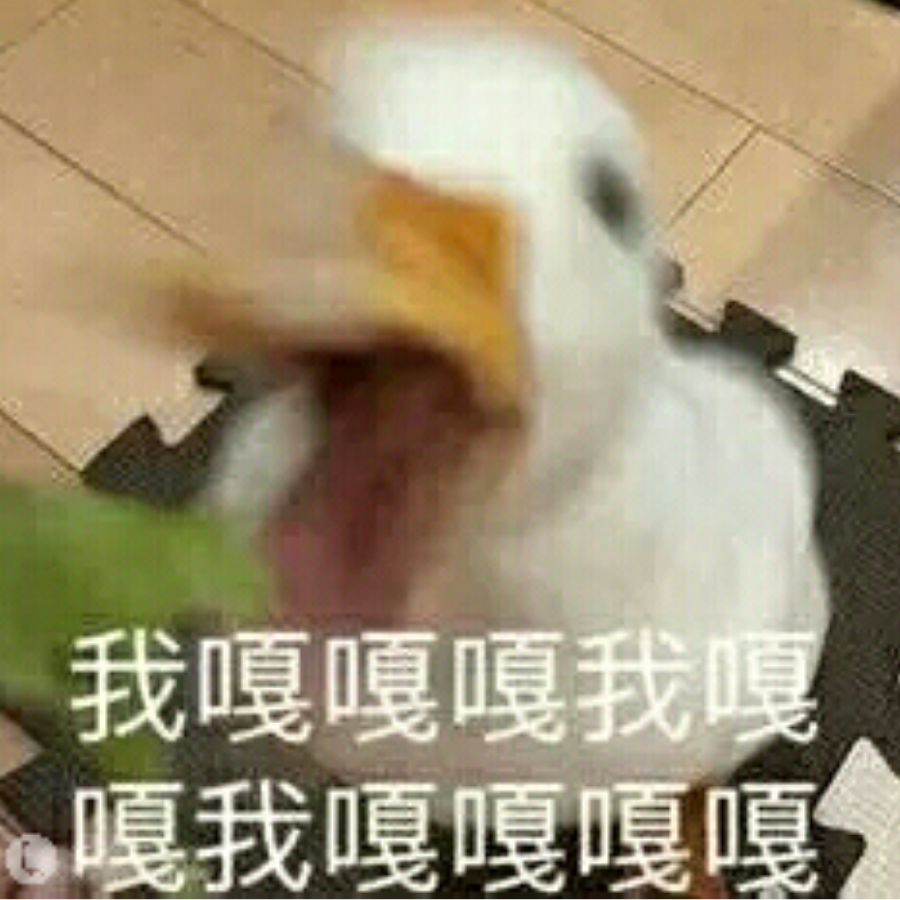 染几