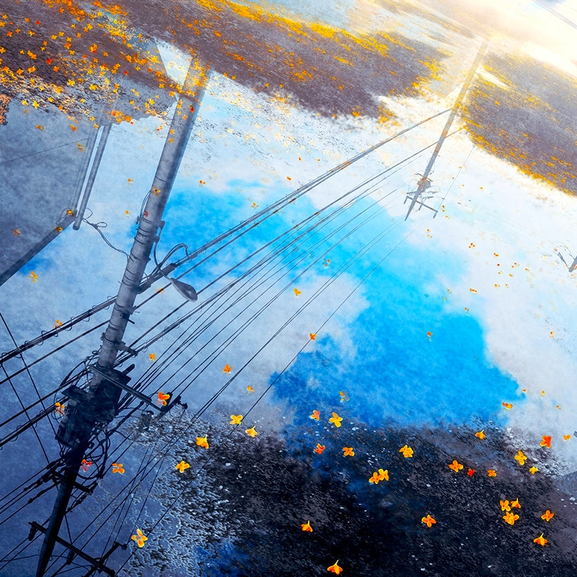 层林叠夕