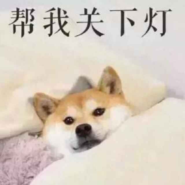 咲月咲月