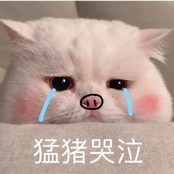 奕辰辰辰辰吖