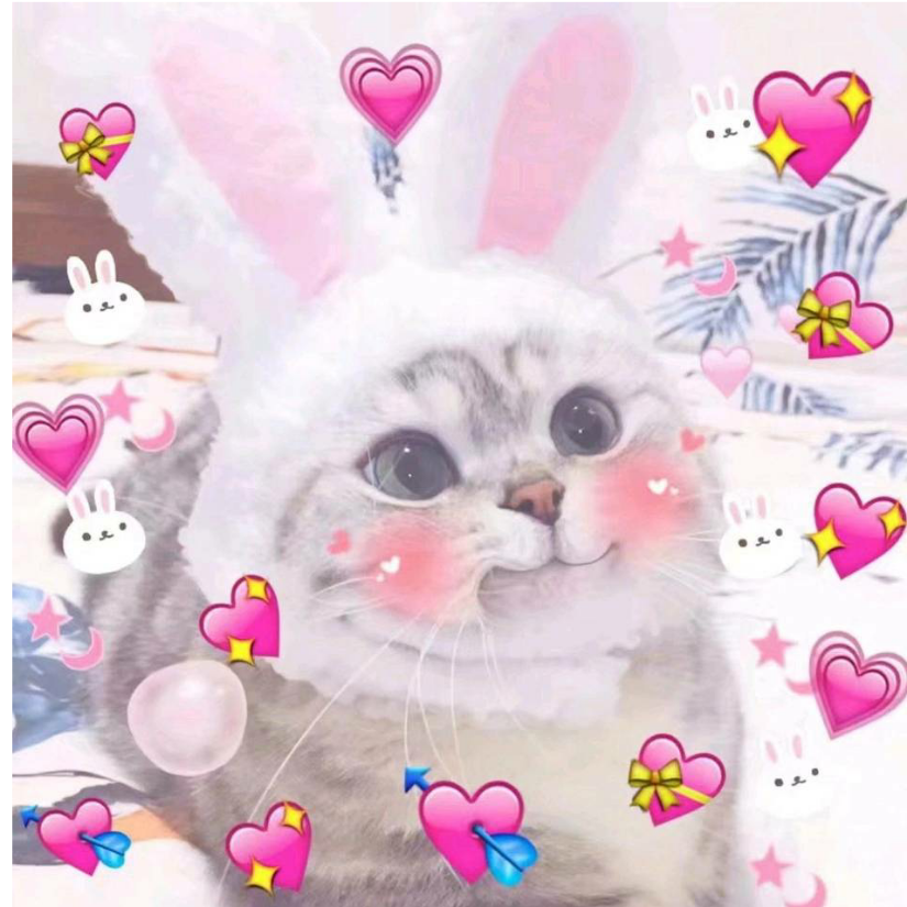 张🌸
