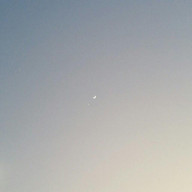 小逗逼