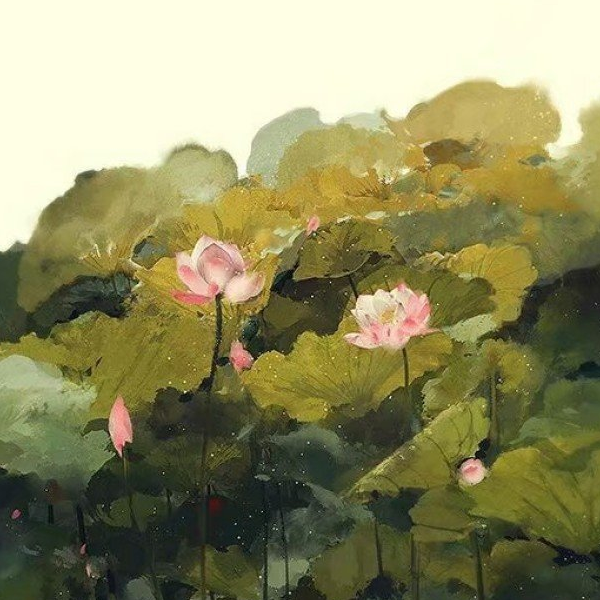 白鹿