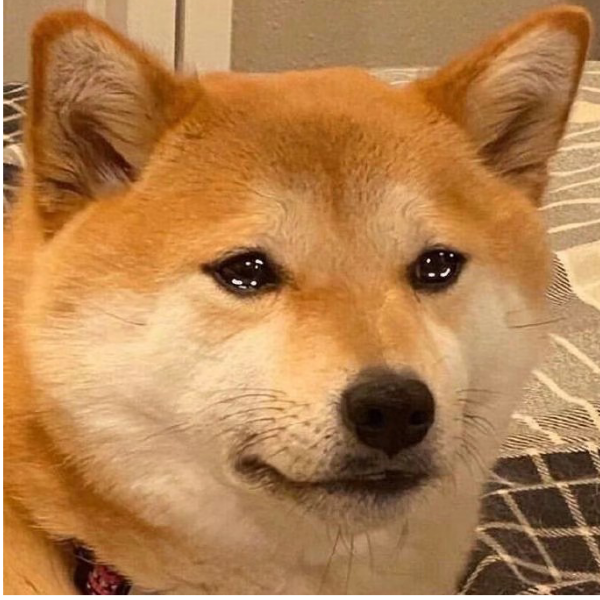 蛙蛙靓仔