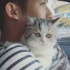 春光灿烂猪八戒