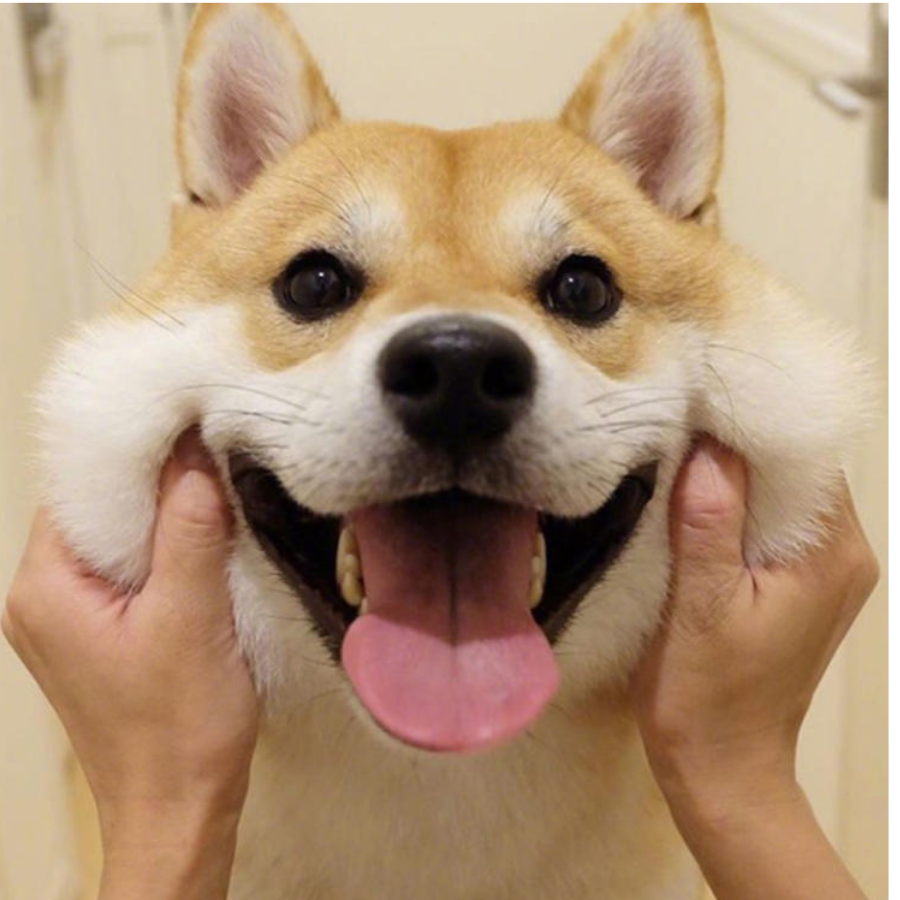 伍四陆柒捌
