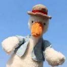 AAA蘑菇种植大棚