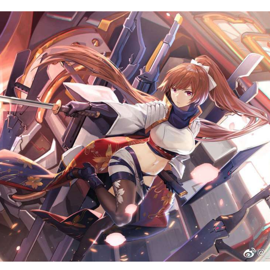 重装兴，九条王