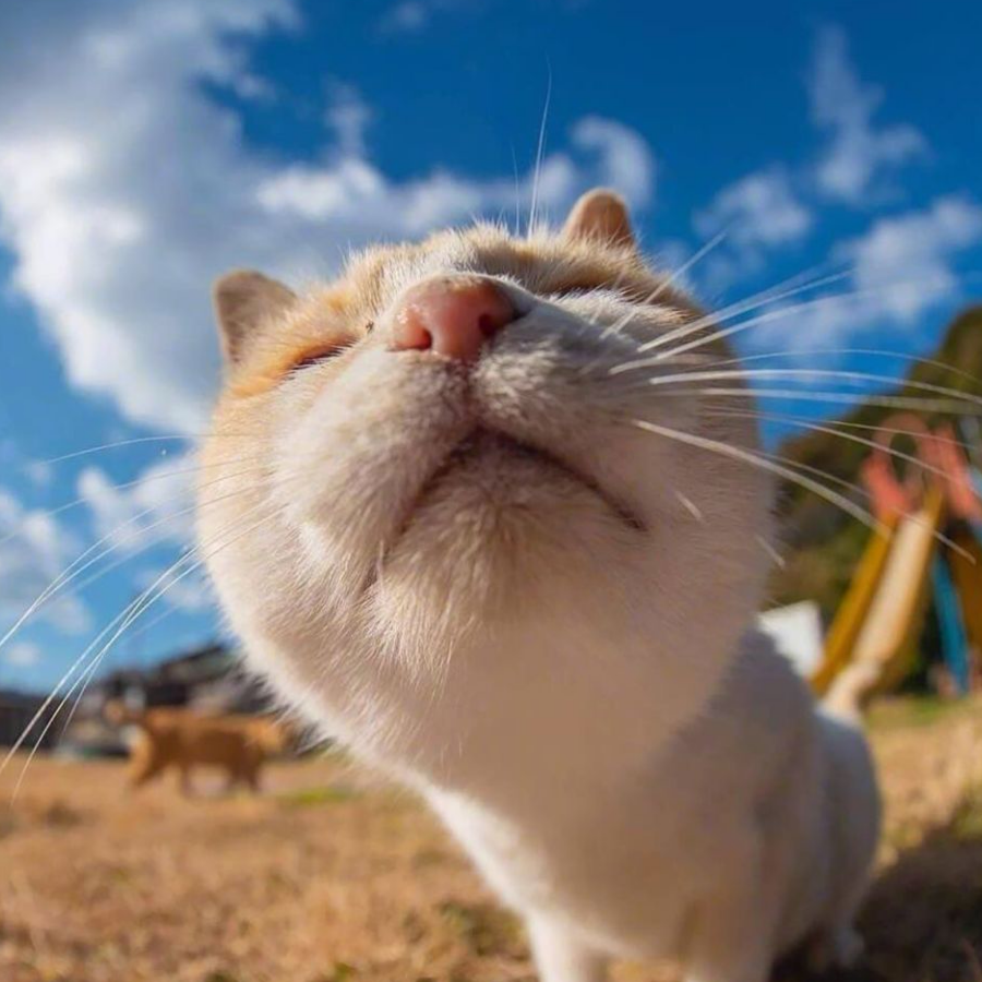 醒醒
