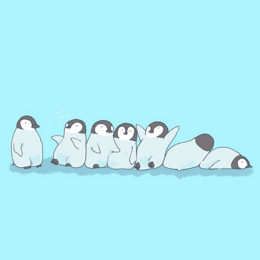 琴声何来