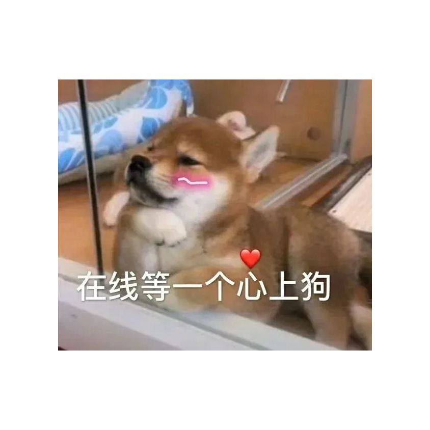 阿尼呦