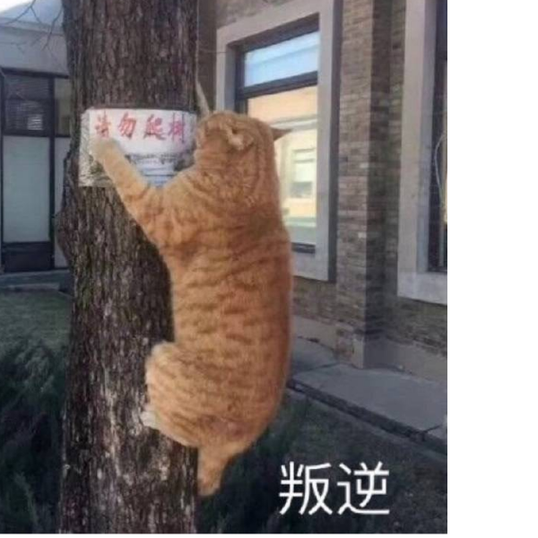 君