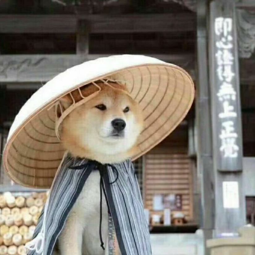 我等的狗它在多远的未来