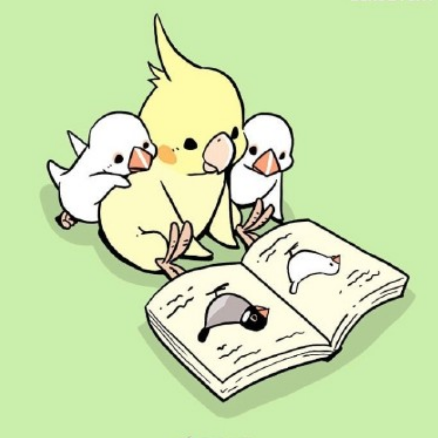 陆晓