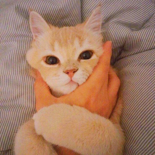 黃東