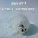 白夜梦