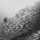 小小贼（本座就是姥姥）