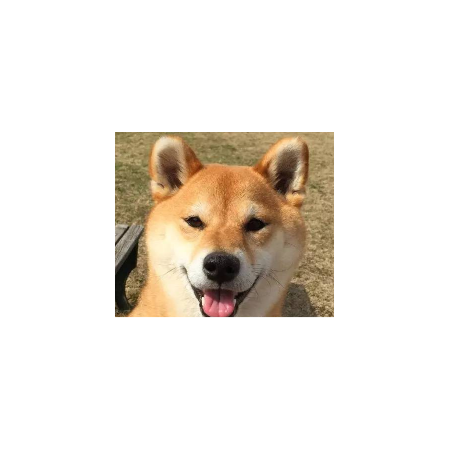 此号已被盗