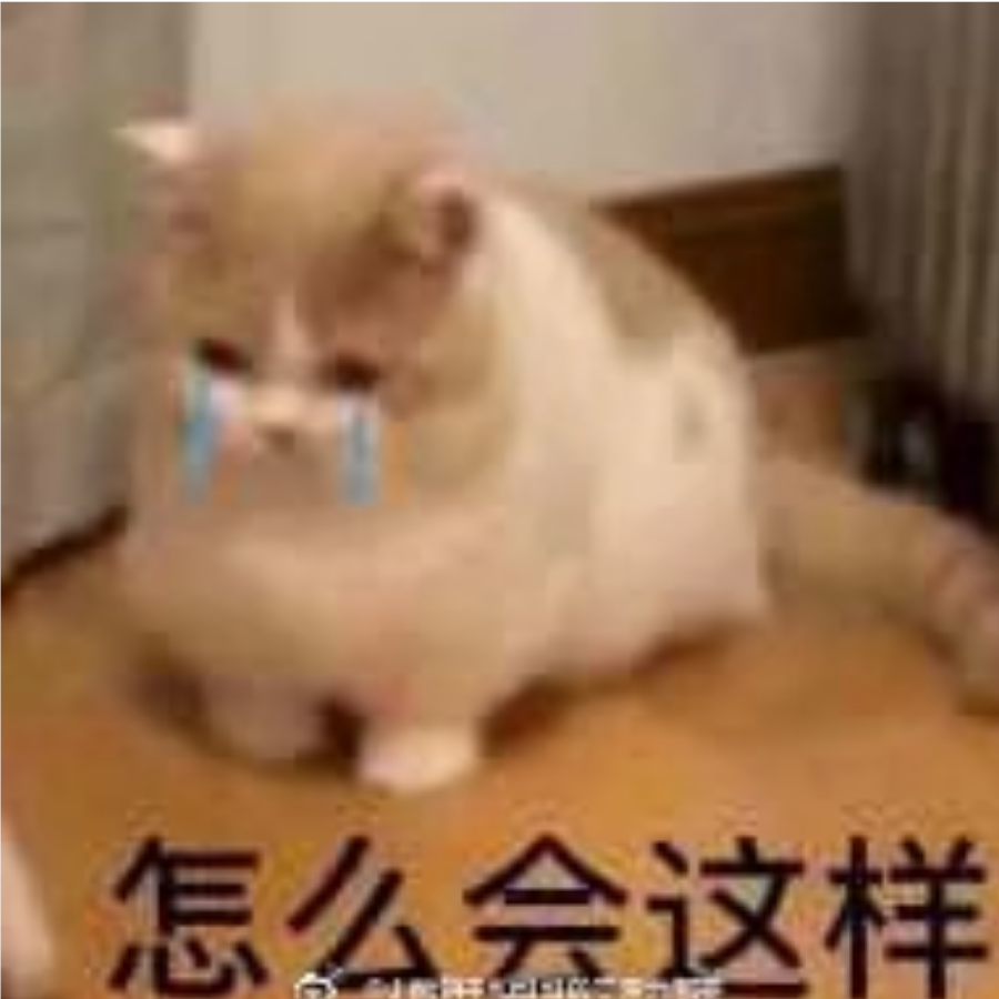 半藏是世界的宝藏