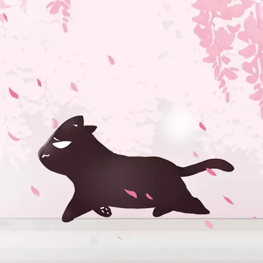雨人喵
