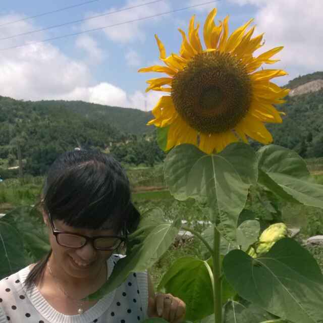 海边咸鱼
