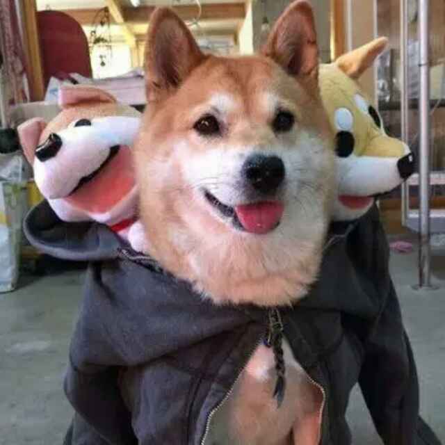 沧渊
