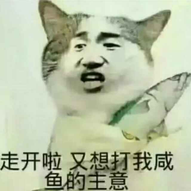 大队长