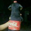 User26026526