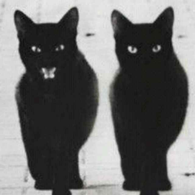 →_→