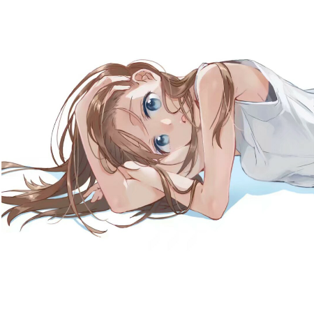 狸狸