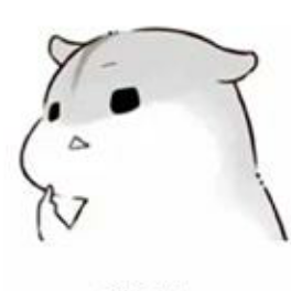 超意志猫猫