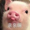 咕咕得儿