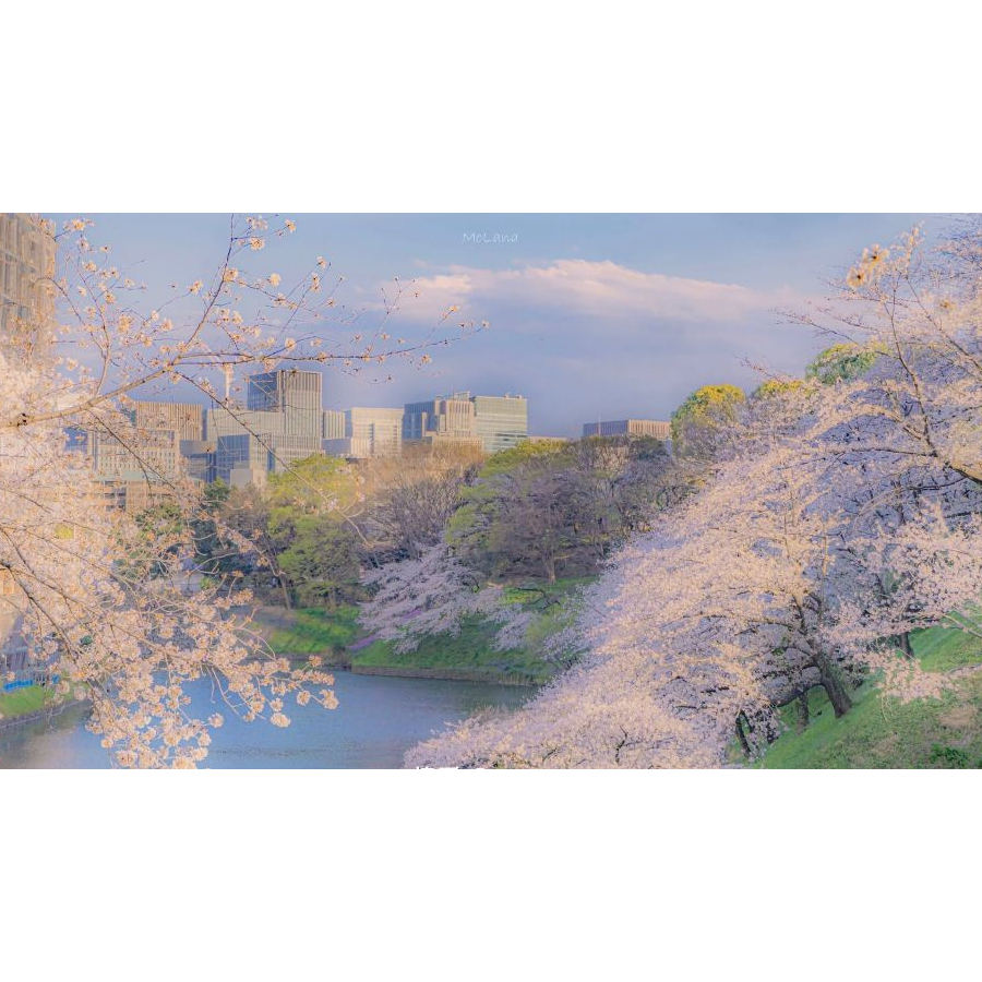 世界那么大，巧合那么多