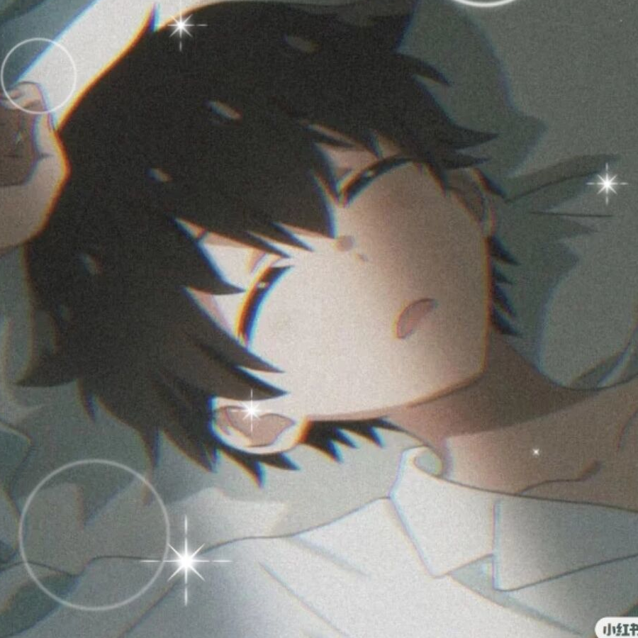 南巷的猫
