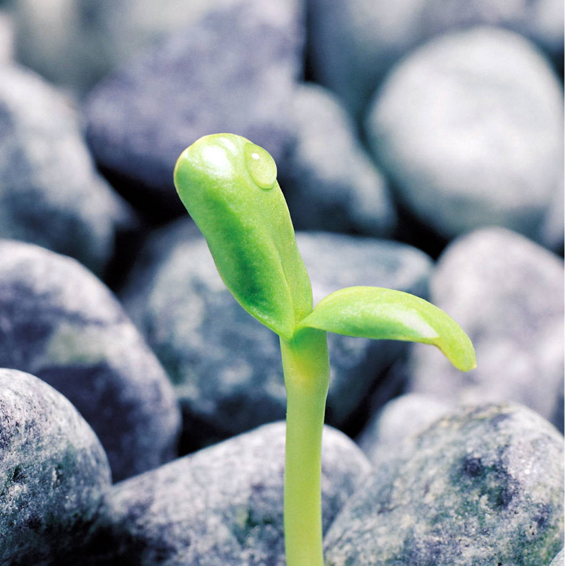 (｢･ω･)｢嘿  说你呢(ﾟ