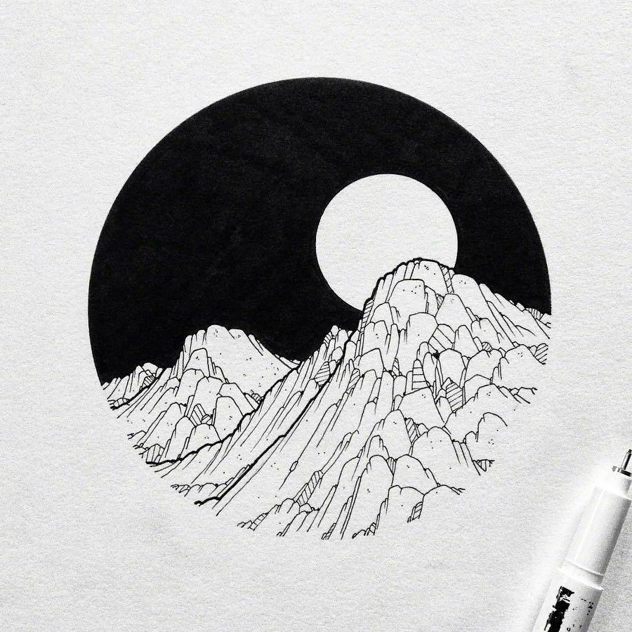 海星