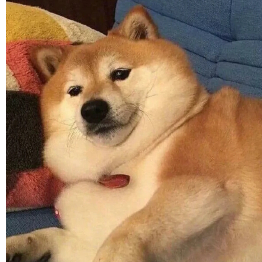 柴柴桑