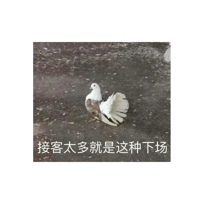 真伪吃烤鱼