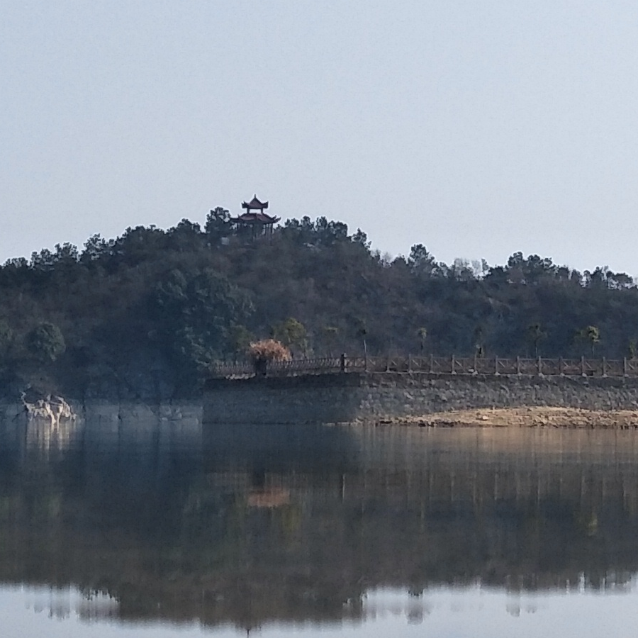 阳春面