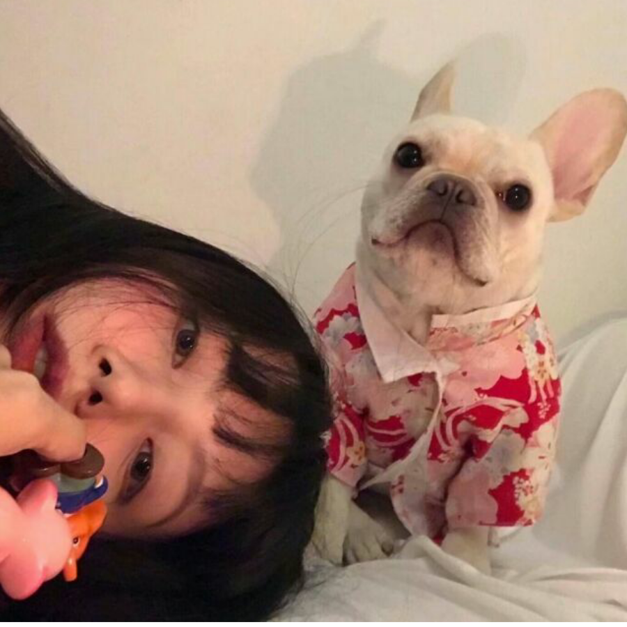 安妮的小熊.