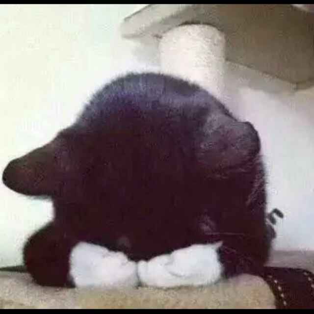 苏神。。恒大
