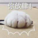 爱猫的小孩