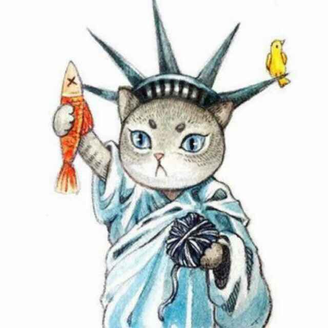 黑猫