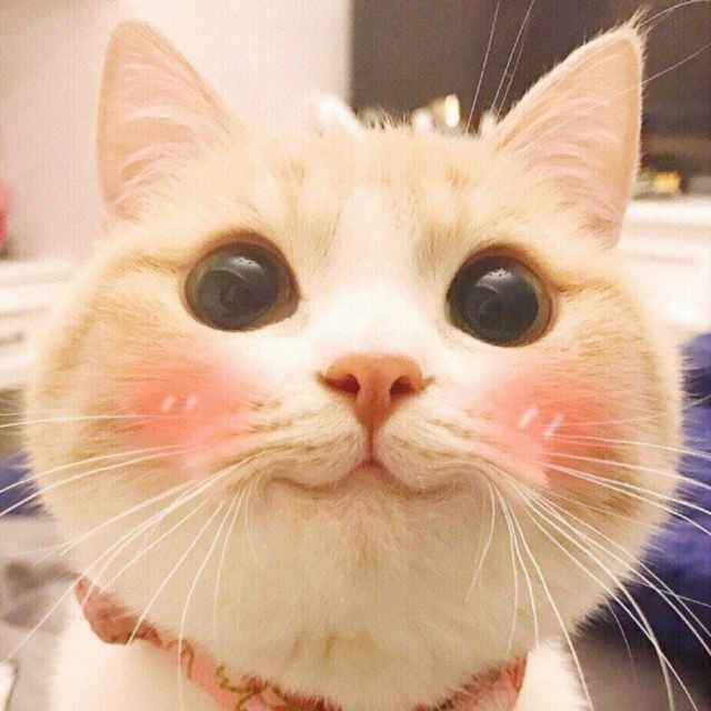 诶哟喂丶
