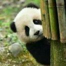 后来