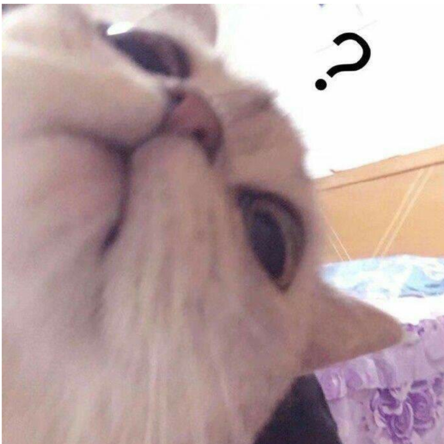 User52824036