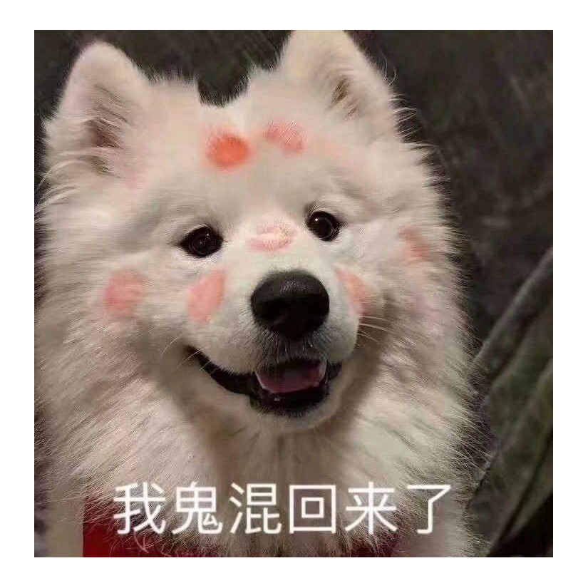 快乐小biubiu