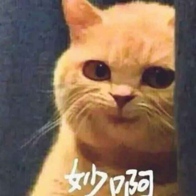 暗中观察...