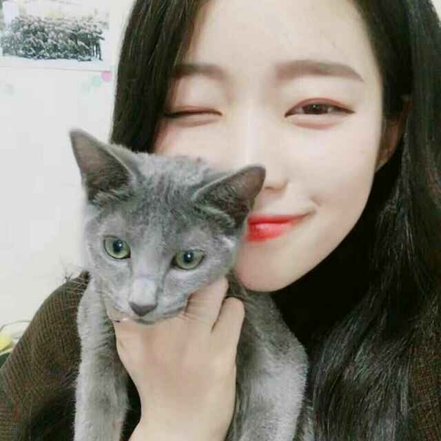 花开彼年岸成殇